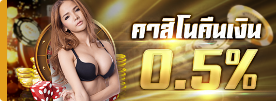 คาสิโนคืนเงิน 0.5% คาสิโนคืนเงิน 0.5%